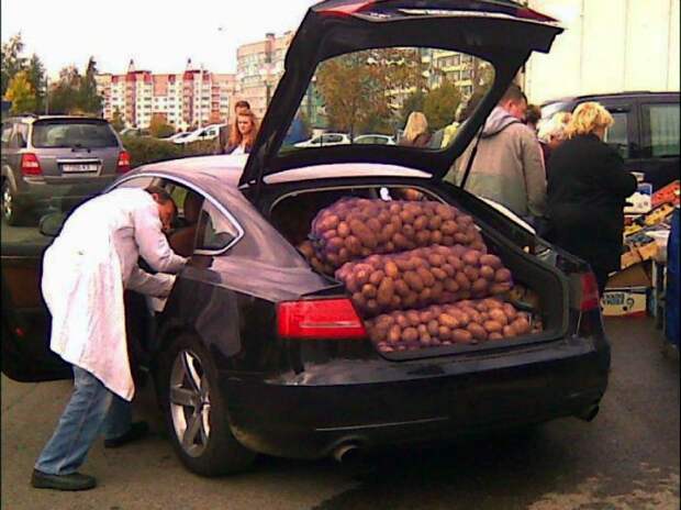 Полный багажник картошки.