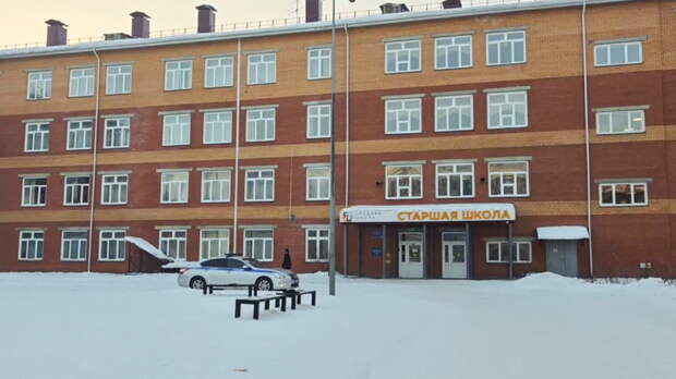 Стало известно о скандале в красноярской школе перед попыткой ученицы сжечь сверстников