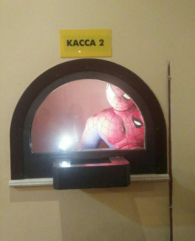 Какой интересный кассир  животные, кадр, люди, фото, фотоподборка