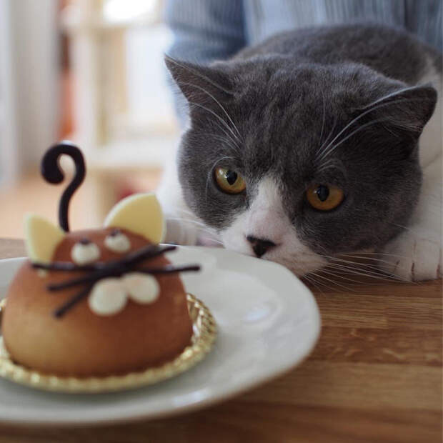 Esrs_qfpLCs (700x700, 316Kb)