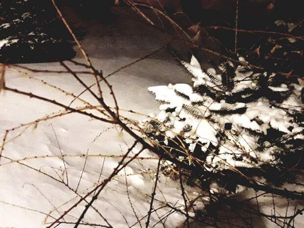 Погода в Приморье: сильный ветер, гололед, морозно