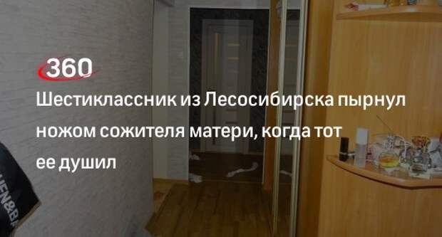 Тогда дима прыжком соскочил со стола схватил чемодан и раскрыв его