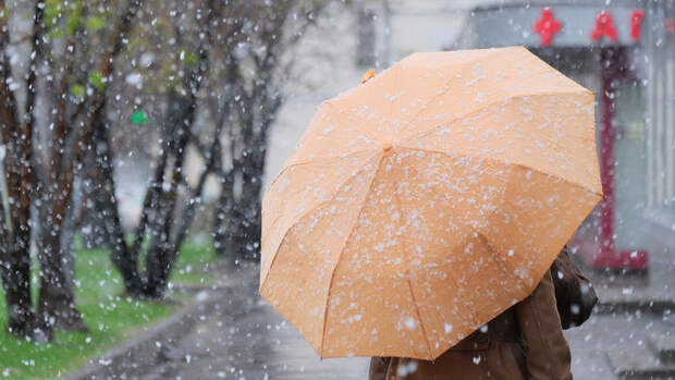 Синоптик Леус: снежного покрова не будет в столичном регионе до осени