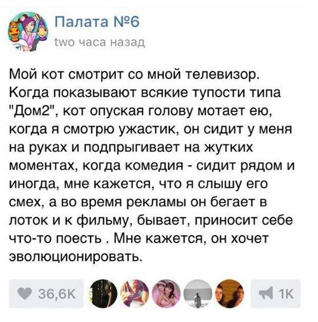 Переписка из социальных сетей