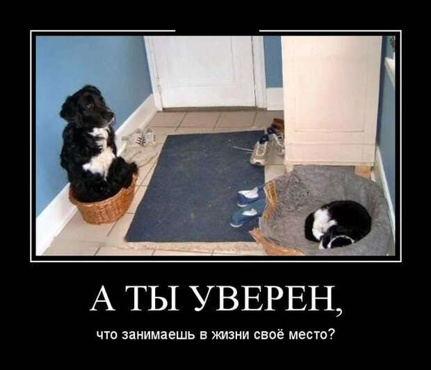 Свежие демотиваторы на утро (11 фото)