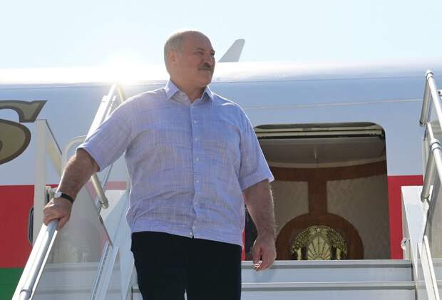 Александр Роджерс: "Хайли лайкли" вышло на новый уровень