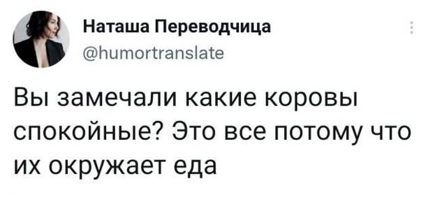 Подборка забавных твитов обо всем