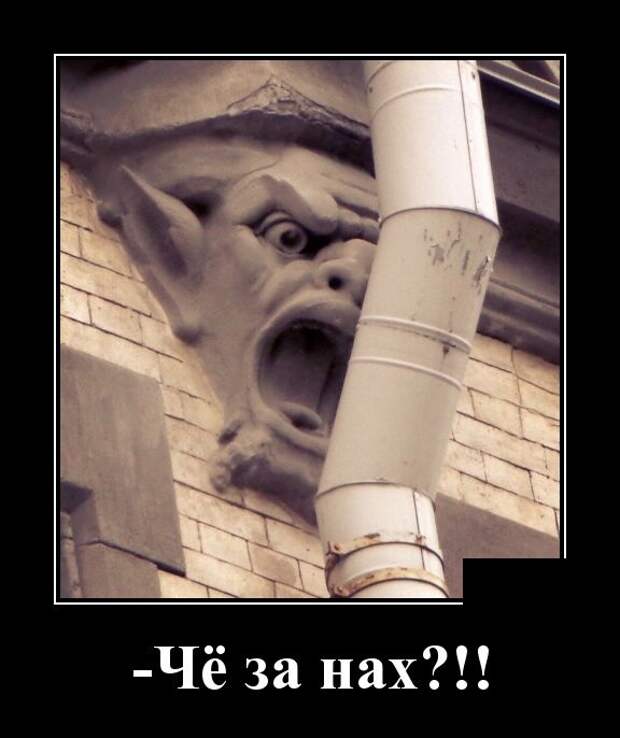 Демотиваторы (30 фото)