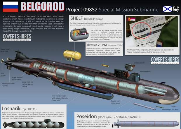 Вся система из лодки носителя, типа "Белгород" и ряда подводных аппаратов. Картинка H.I Sutton