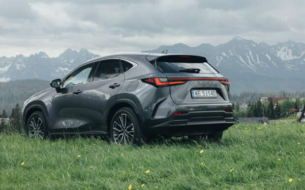 Lexus набирает популярность. 2021 год стал рекордным для японского бренда