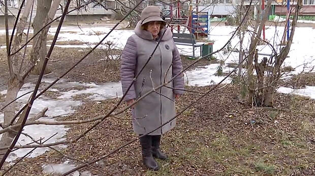 медаль