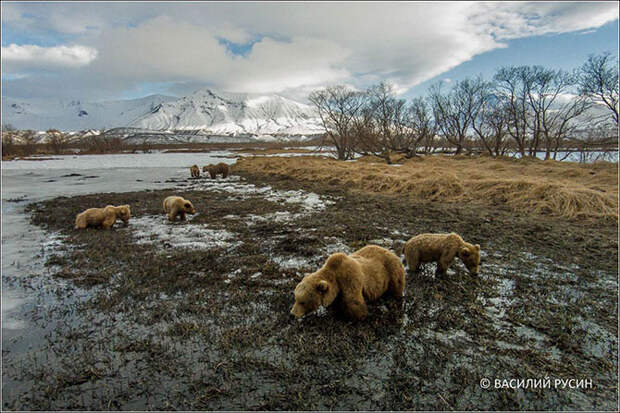 20 самых красивых фотографий с дрона
