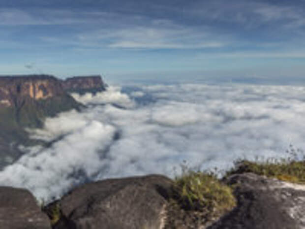 Венесуэла. Плато Рорайма. The plateau of Roraima on the Grand Sabana - Venezuela, Latin America. Фото Curioso_Travel_Photography - Depositphotos