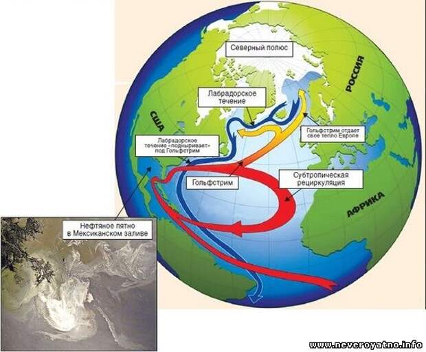 Северо атлантическое течение. Гольфстрим и Северо-атлантическое течение. Океаническое течение Гольфстрим. Гольфстрим течения Атлантического океана. Течение Гольфстрим на карте.