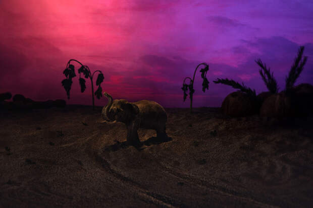 Слон на фоне пейзажа из петрушки, розмарина, тамаринда и кокосов