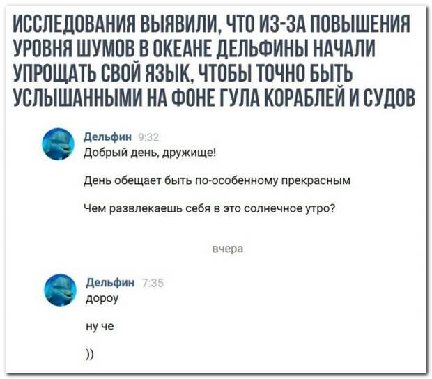 Лучшие комментаторы социальных сетей снова в деле! Лучшие комментаторы социальных сетей снова в деле!