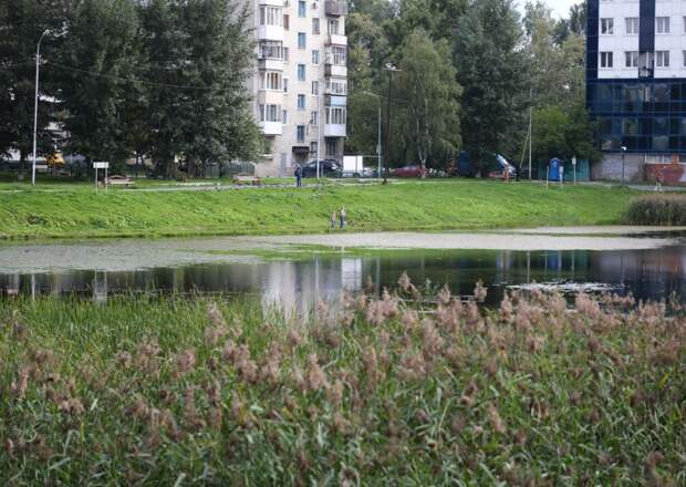 В Тюмени может быть снесён долгострой у Утиного пруда