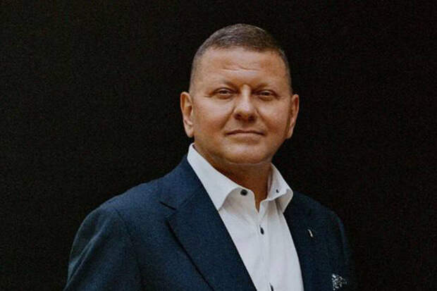 Аналитик Федоров: Залужный метит в президенты, обвиняя Зеленского в провалах ВСУ