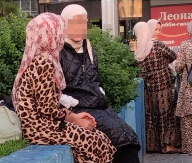 Фото: открытые источники.