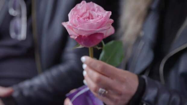 Вагон поезда в Лондоне украсили 3000 цветов в честь Chelsea Flower Show: реакция пассажиров