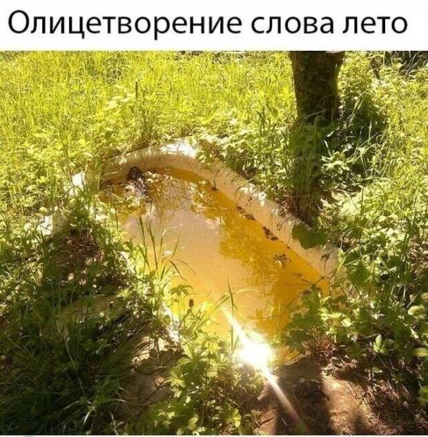 f835a654425e2afdaa26ee363d2618d335bc4aaa6b135f845ba3763998225cc2-1.jpg