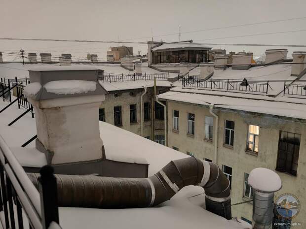 На Чайковского спасают застрявшего в дымоходе кота