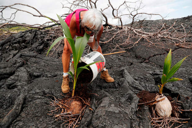 HAWAII-VOLCANO/RETURN