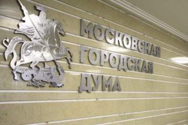 Депутат МГД Метлина: Необходимо вводить пассивные меры безопасности на проблемных участках дорог. Фото: сайт мэра Москвы