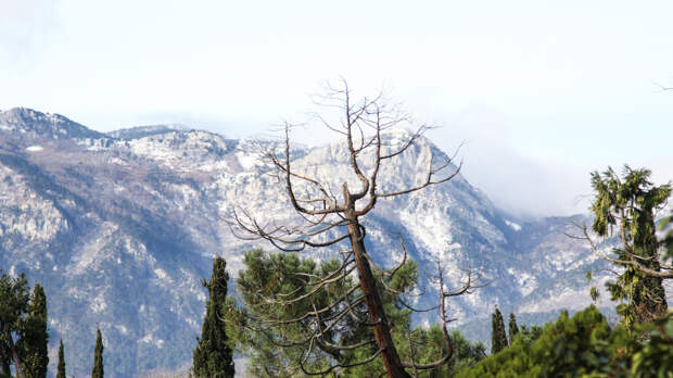 В Крыму появится станция контроля космического пространства