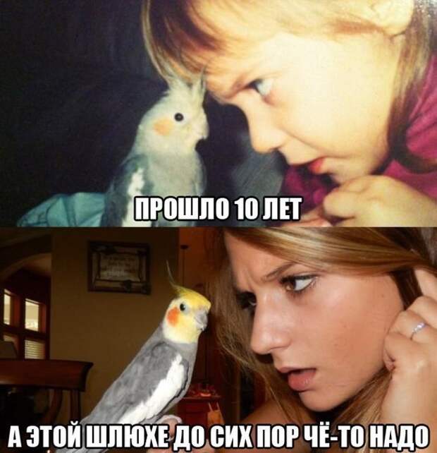 Смешные картинки с надписями приколы, фото, юмор