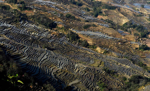 Бесконечные рисовые террасы, Китай