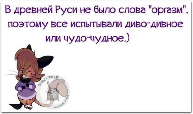 Спор с женщиной - как охота на слона... Спор с женщиной - как охота на слона...