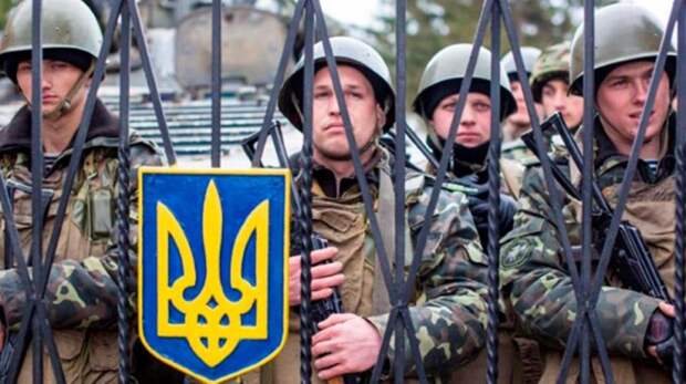На бойню в интересах США: Глава Госдепа заявил о необходимости проведения мобилизации на Украине