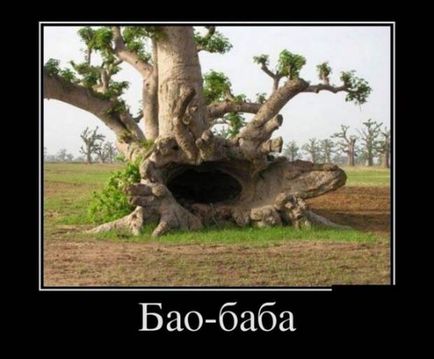 Анекдоты и прикольные картинки
