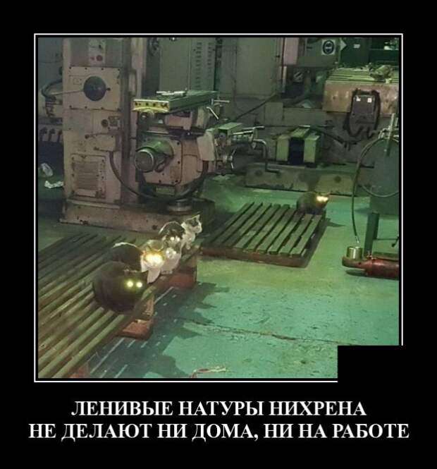 Демотиваторы (20 фото)