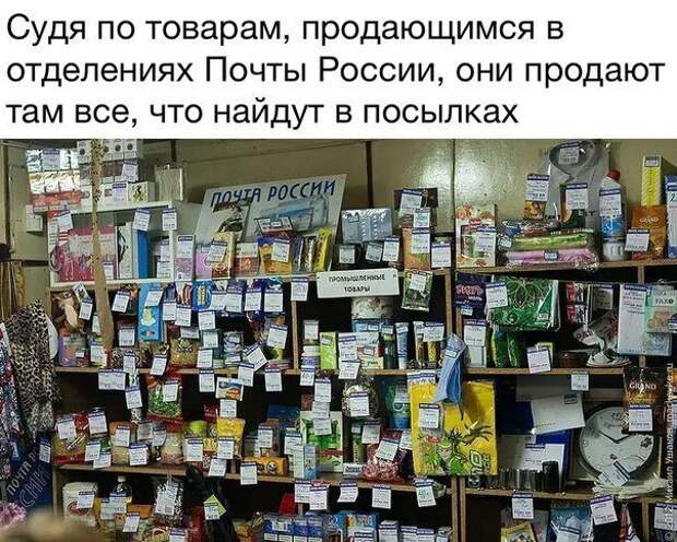 Картинки с надписями картинки, картинки с надписями, надписи, прикол, юмор