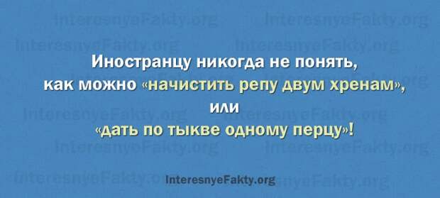Особенности русского языка - INFOnotes