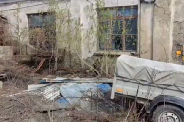 В Уфе спасли упавшего с высоты лося