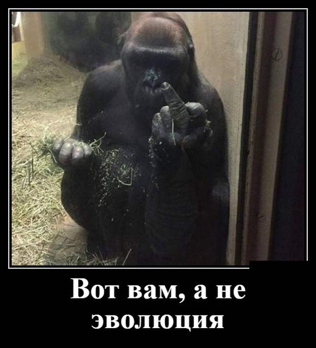 www.vsyako.net