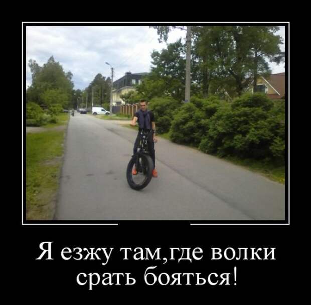 Демотиваторы (30 фото)