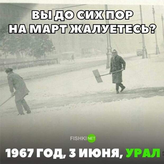 Картинки с надписями для настроения картинки с подписями, подборка, позитив, юмор