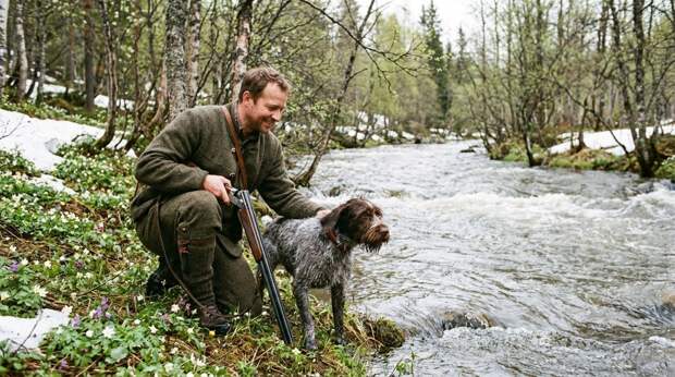 Собаки в поле и в лесу: как надёжно защитить охотничью собаку от клещей и блох
