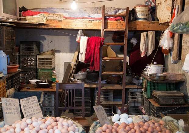 Тут я сплю, а тут продаю куриные яйца дом, жизнь, жилище, китай, люди, магазин, работа, труд