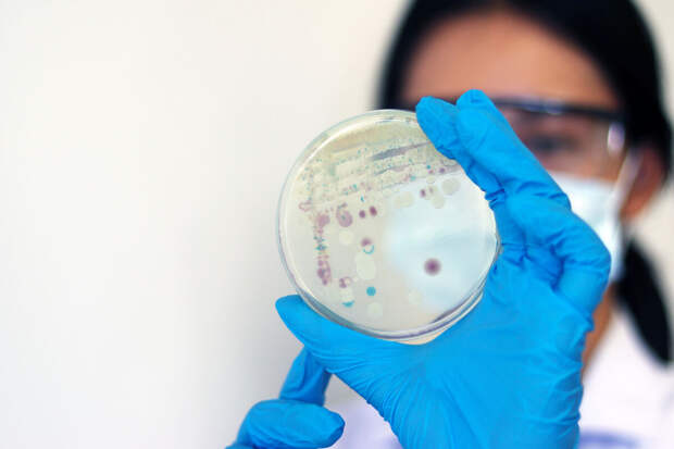 АИРР: зафиксировано рекордное сокращение спроса на STEM-специалистов в 2025 году