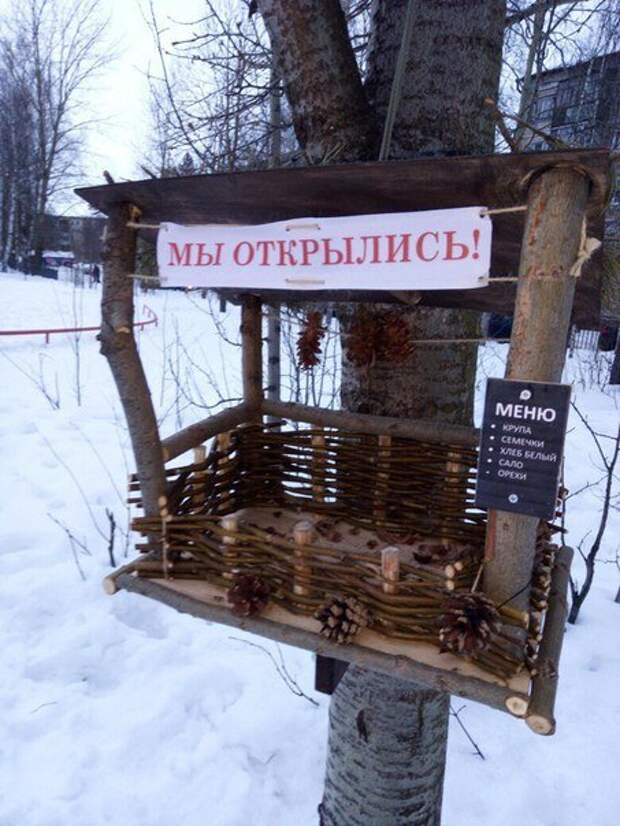 Смешные объявления, вывески и реклама (25 фото)