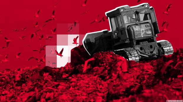 В Севастополе зафиксировали две незаконные свалки мусорных отходов