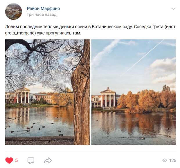 Фото дня: последние теплые дни в Ботаническом саду