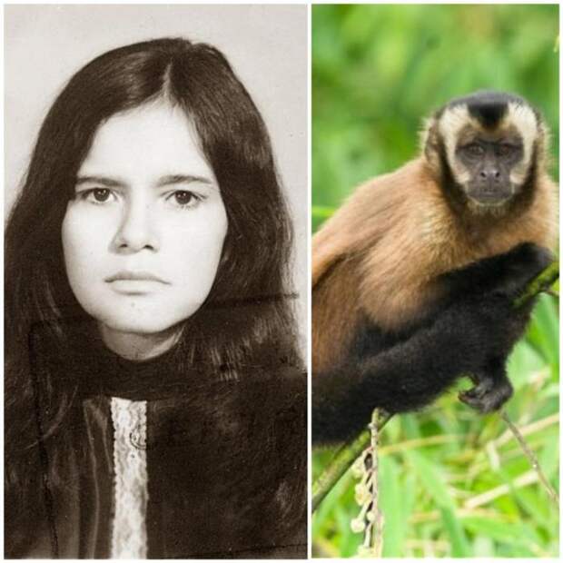 Марину Чапман воспитали обезьяны Марину Чапман воспитали обезьяны