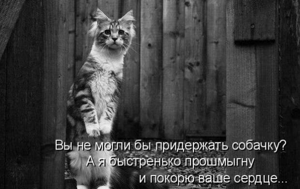 Прикольные картинки (30 фото)