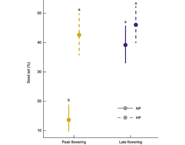 Рис. 3. Процент завязывания семян
